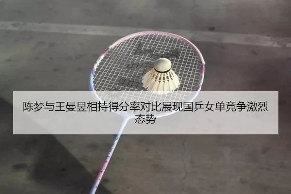 陈梦与王曼昱相持得分率对比展现国乒女单竞争激烈态势